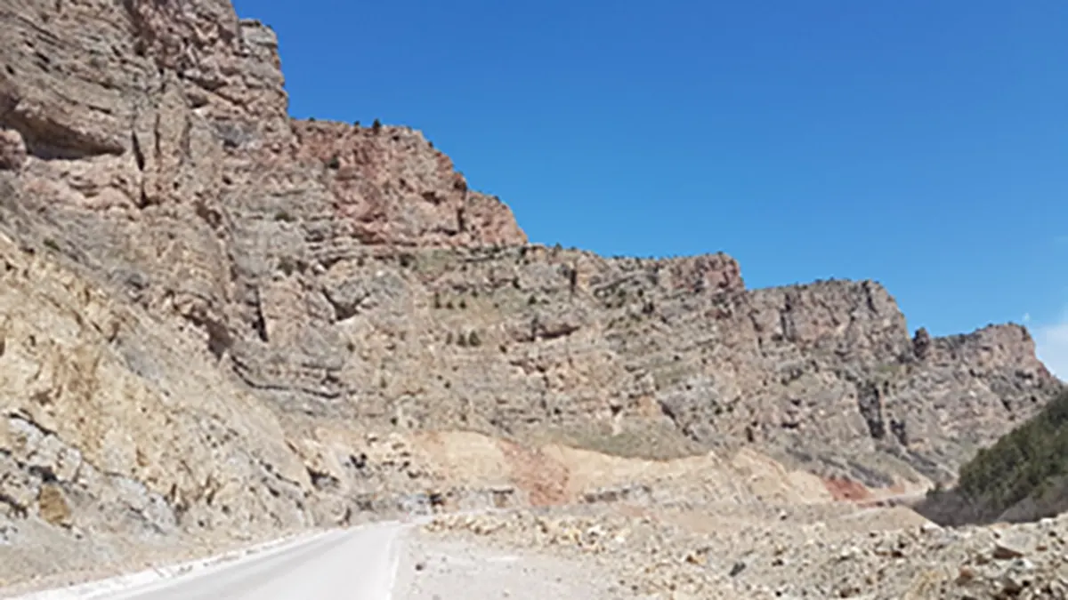 Mesozoic Basins and Tethyan Successions of the Eastern Black Sea Region