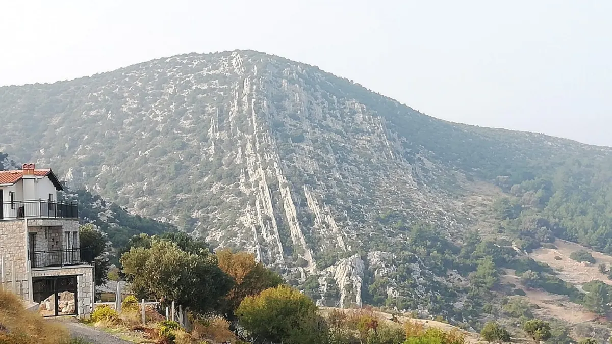 Mesozoic Carbonate Platform