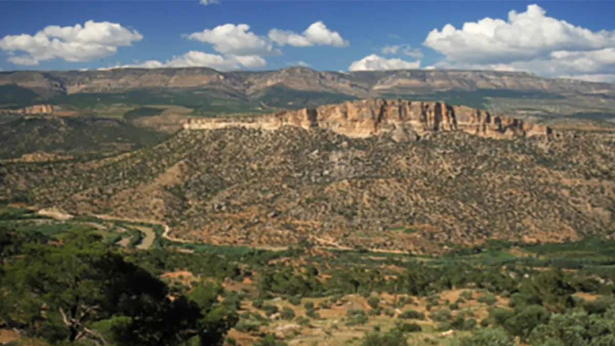 Platform Carbonates of Mut-Eermenek-Adana Basin, Carbonate Build-Ups, Reefs, Prograding Intra-Shelf Banks, High Angle Slopes